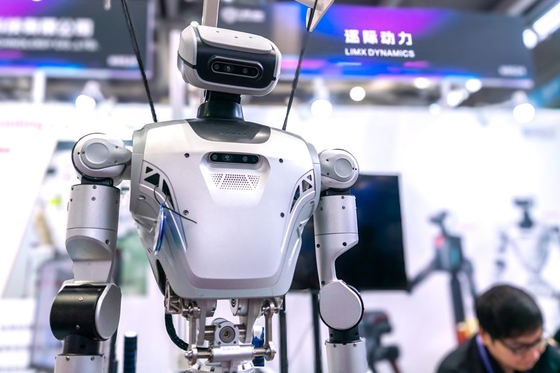 LimX Dynamics humanoid robot